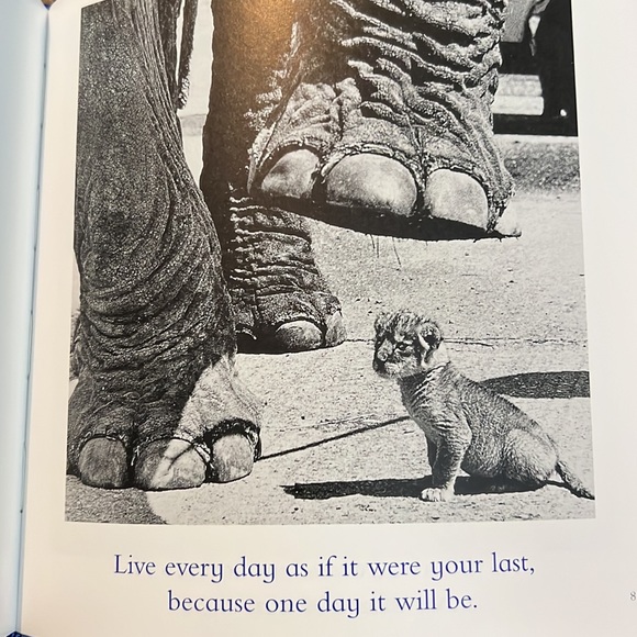 The Blue Day Book: A Lesson In Cheering Yourself Up - Picture 8 of 8